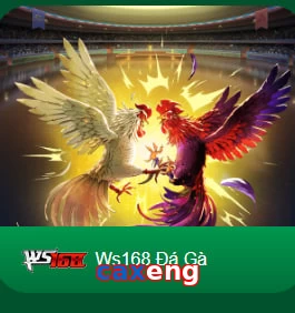 caxeng